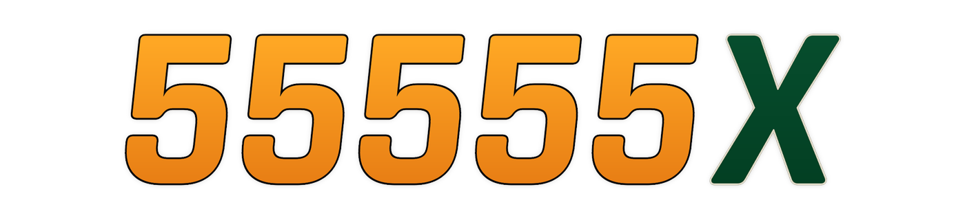 55555x
